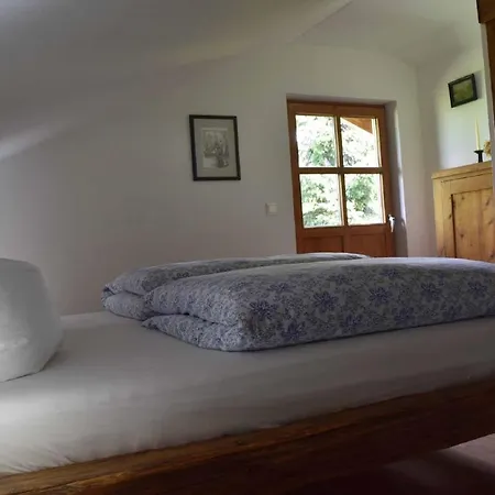 Birken *