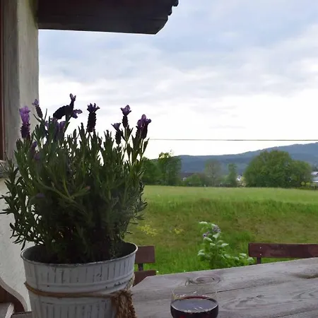 Birken Chalet Chalet *